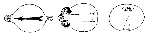 蘋果製法.gif (2282 bytes)