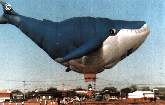 hotairBL2.jpg (21462 bytes)