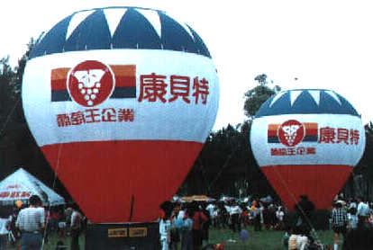 hotair_w2.jpg (18645 bytes)