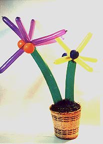 palm1.jpg (9991 bytes)