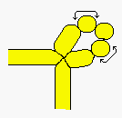 pnchpop1.gif (1557 bytes)